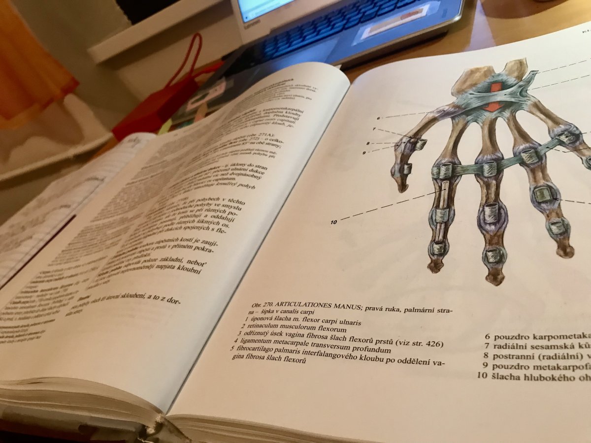 Studium medicíny v Hradci Králové